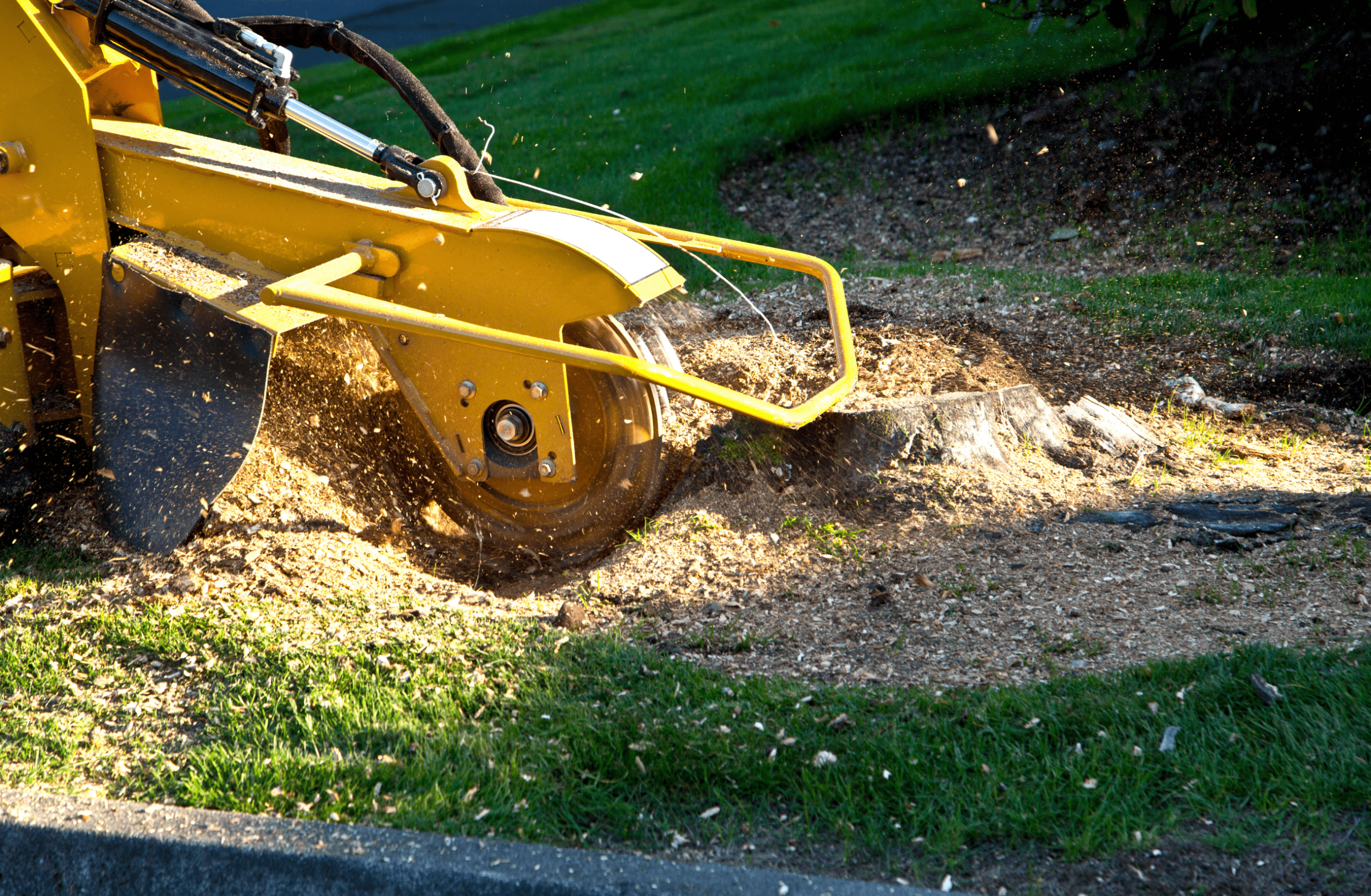 Stump Grinding Sydney - Top Up
