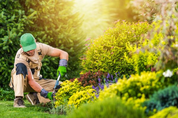 Garden Maintenance Near Me