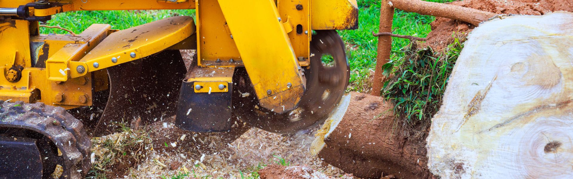 Stump Grinding Near Me