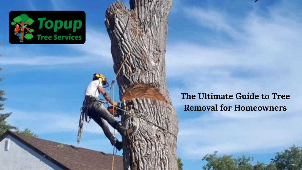 Tree Removal